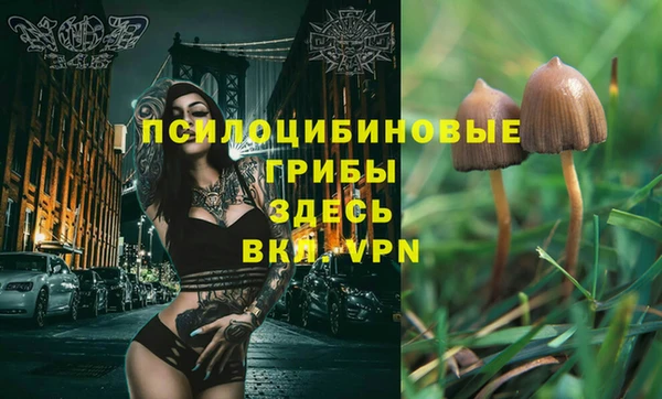 дживик Абинск