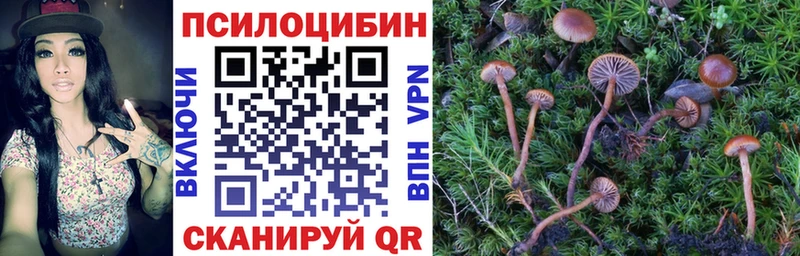 Галлюциногенные грибы Psilocybine cubensis  Райчихинск 